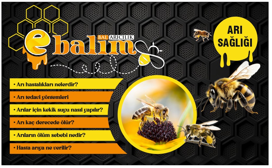 Sağlıklı Arılar