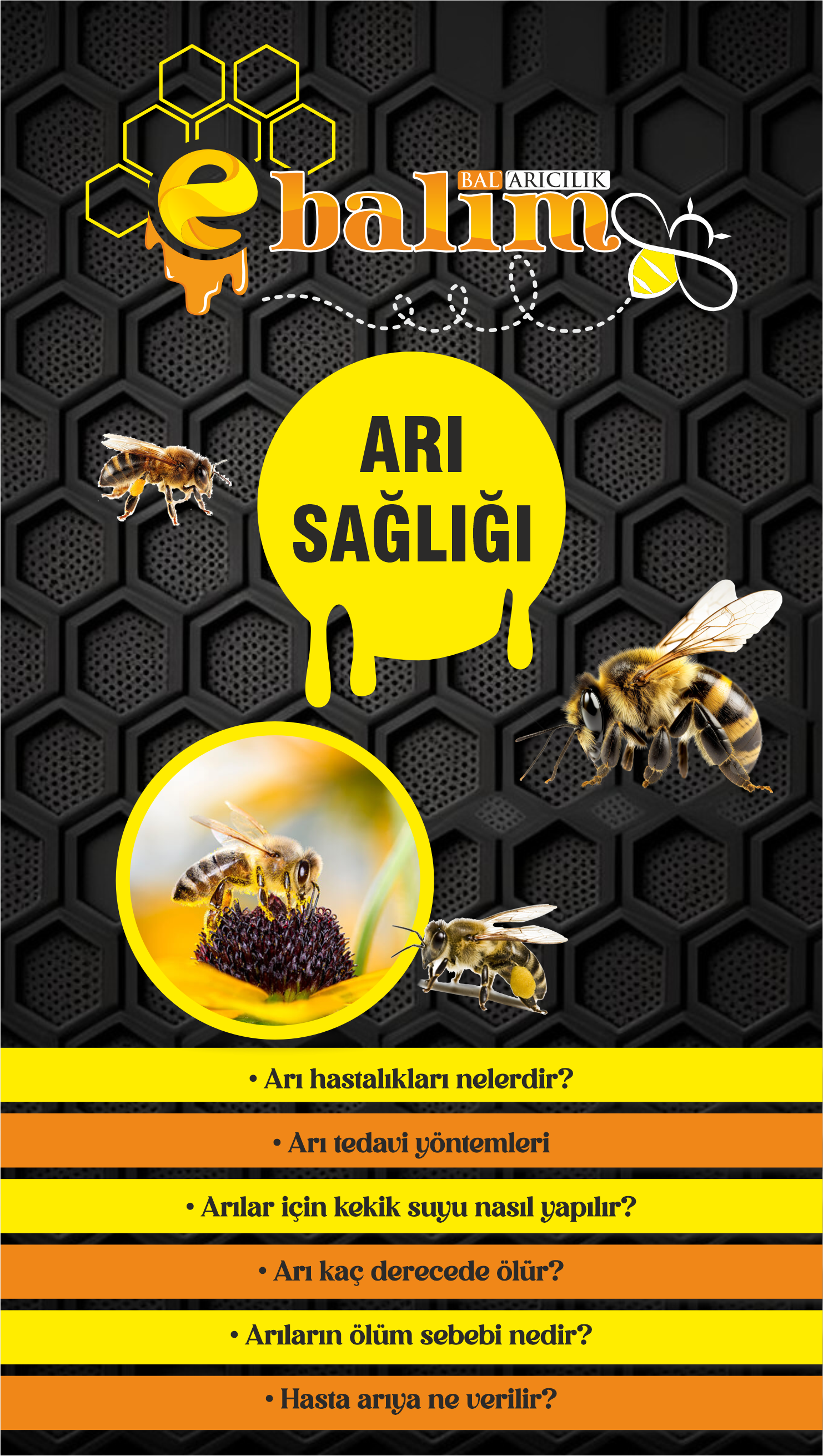 Arı Sağlığı